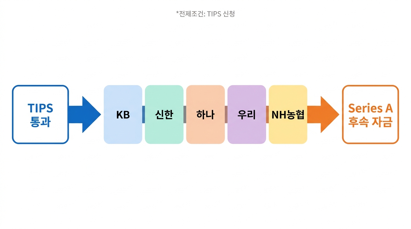 TIPS 통과 → 5대 금융지주 후속 자금 — KB·신한·하나·우리·NH농협