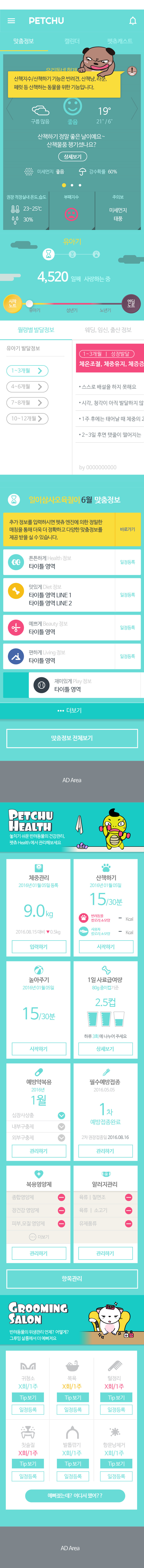 펫츄 맞춤정보 대시보드