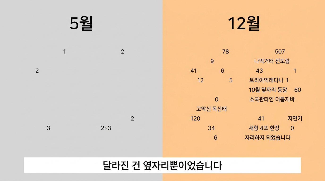 5월에는 네 줄, 12월에는 8개월치 숫자가 빼곡한 표 — 달라진 건 옆자리뿐이었습니다