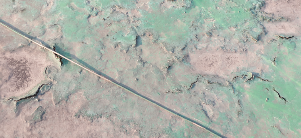 우레탄 벗겨짐 클로즈업 — 바탕면이 드러나고 갈라진 상태