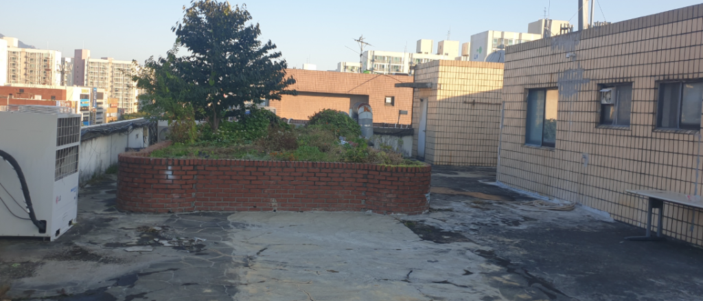 시공 전 옥상 전경 — 콘크리트 화단 3개와 바닥 손상