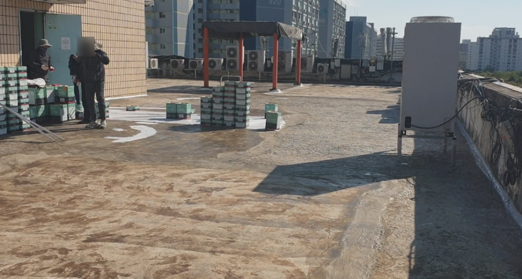 바닥에 프라이머가 균일하게 도포된 상태