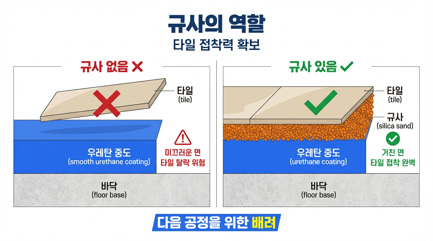 규사의 역할 인포그래픽