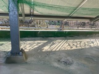 철거 후 발생한 우레탄 폐기물